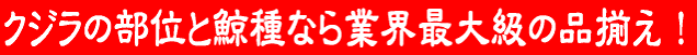 �a�̎R�Y�J���X���S