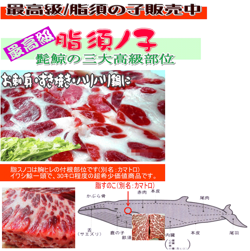 イワシ鯨 高級鯨肉 脂すのこ 脂スノコ 脂須の子 くじらの〆谷商店 太地町から直送