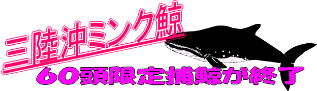 三陸沖ミンク鯨 鮎川ミンク鯨 宮城県ミンク鯨 激安 格安 三陸沖ミンク鯨 鮎川ミンク鯨 宮城県ミンク鯨 激安 格安